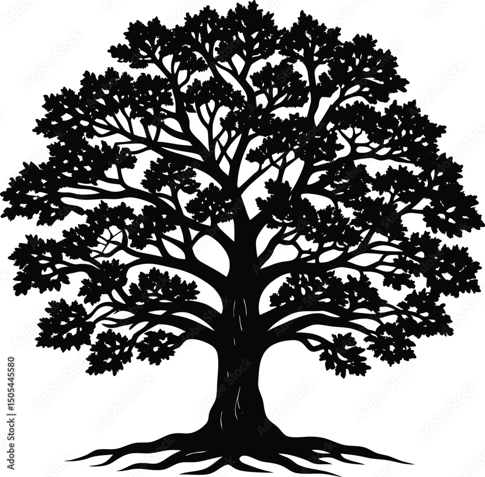 Obraz premium isolated oak tree with sprawling limbs
