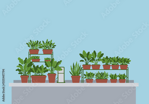 Indoor Plants in Clay Pots on Shelves Against Wall