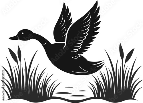Duck silhouette taking off from water vector, Duck fly silhouette vector illustration