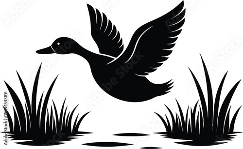 Duck silhouette taking off from water vector, Duck fly silhouette vector illustration