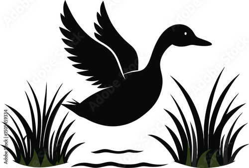 A duck silhouette taking off from water vector, Duck fly silhouette vector illustration