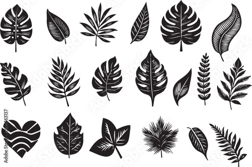 Tree top view, leaf icon set, plant illustration set for architectural design. Tree top view vector collection features diverse tree and leaf sketches for landscape planning, botanical art vector eps