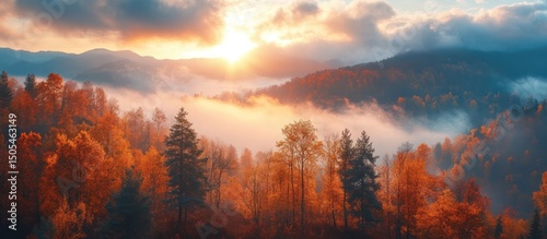 Autumn Forest Landscape in Mountains with Sunrise
