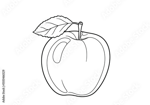 Apple botanical drawing. It is a black and white outline image of a single apple with a leaf and stem, presented in a botanical illustration style. Vector sketch line art draw.