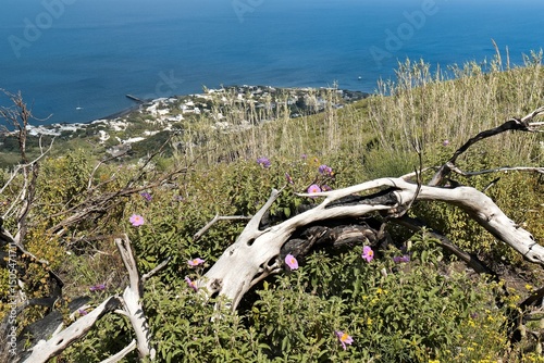 View of Stromboli village and Tyrrhenian Sea on Stromboli island. Aeolian (Lipari) islands. Italy. Europe. 29th April 2025.