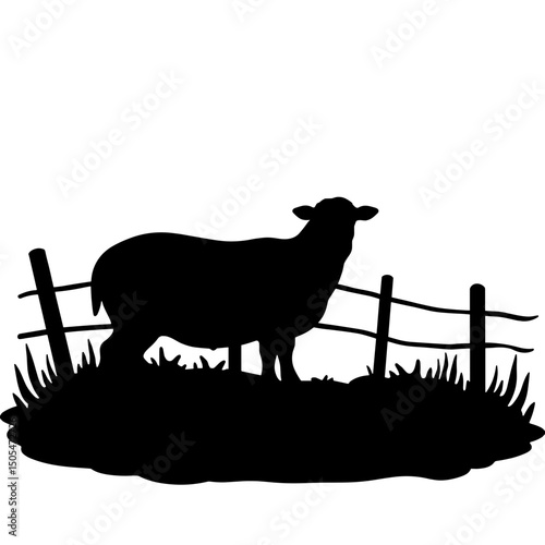 Silhouette of sheep on hillside with fence – rural livestock and pasture scene