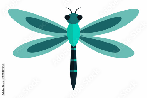 dragonfly vector illustration