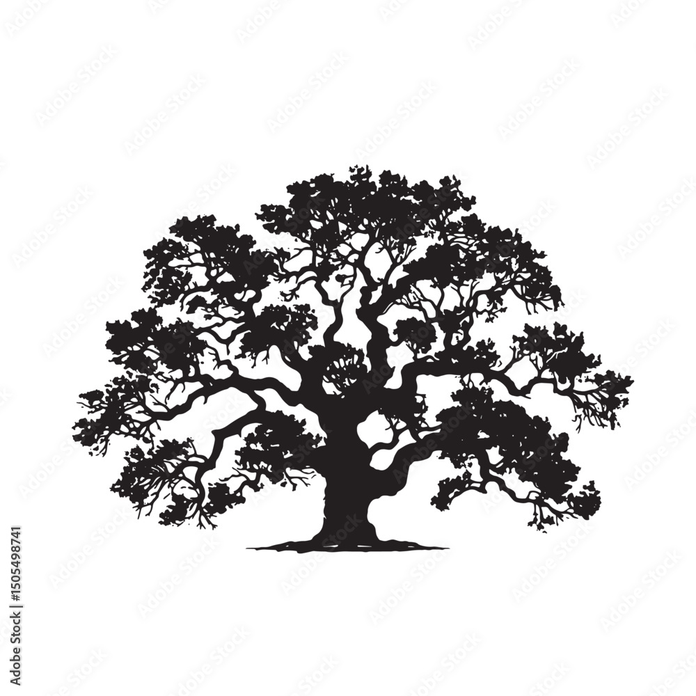Fototapeta premium Oak Tree with Wide Branches Silhouette