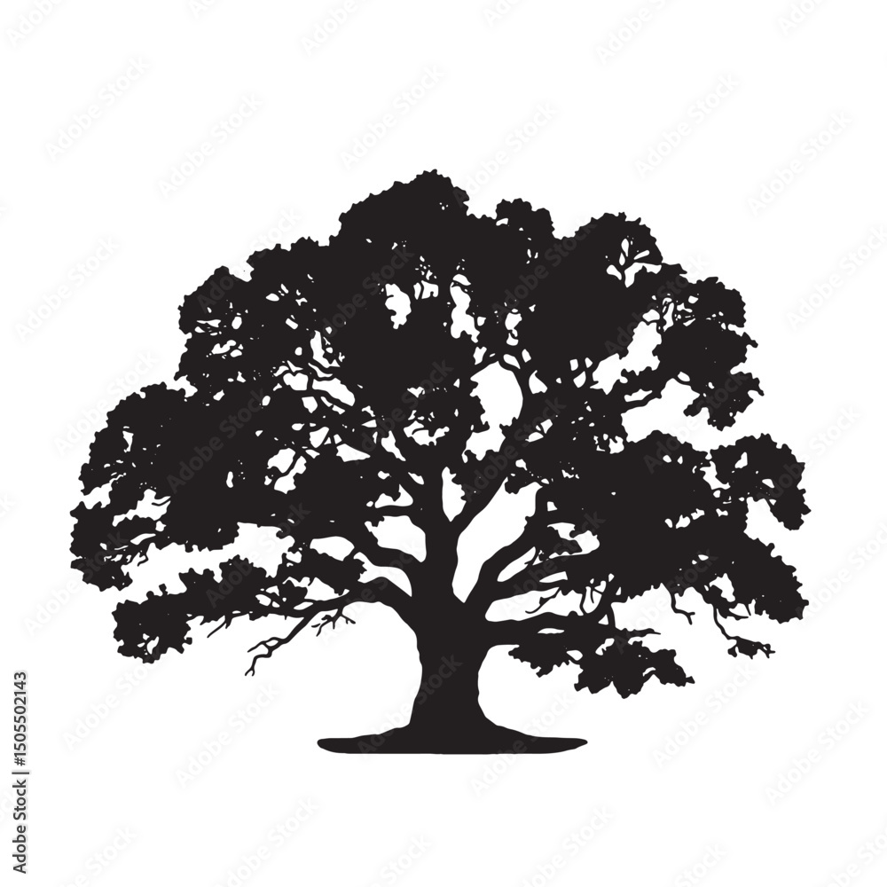 Fototapeta premium Black Silhouette of Major Oak Tree