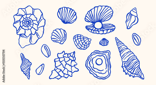 Underwater ocean shells outline minimalist retro illustrations set. Seashells vector doodles