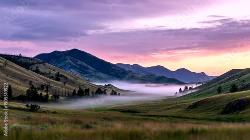 Serene landscape view of rolling hills at sunrise, blanketed by fog, with tall grass in the foreground and a pink-purple sky