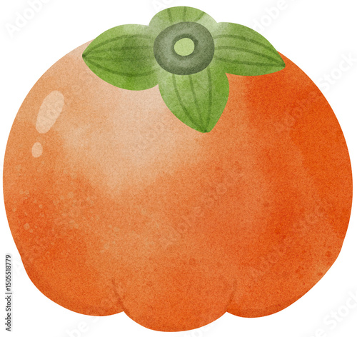 Watercolor Illustration of Persimmon Fruit 