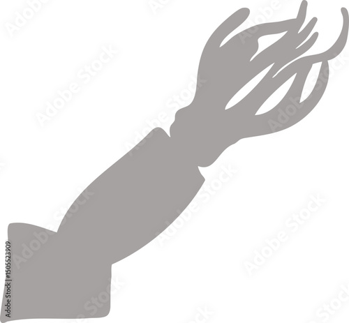 오징어,해양,그림자,유기적,추상,바다,생물,생선,음식, 요리, 스퀴드,
