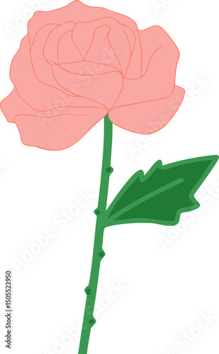 장미, 핑크, 꽃, 부드러운, 자연, 청록색, 우아한, 라인아트, flower, 네이처, 봄, 식물, 여름, 나뭇잎, 로즈, love, 로맨스, 블로섬, 낭만주의, beautiful, 꽃잎, 줄기
