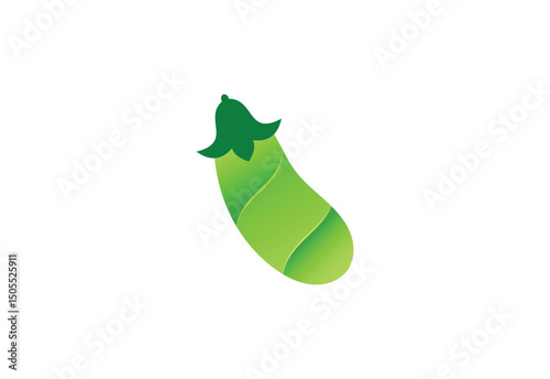 Colourful Vegetables Eggplant logo design, Vector design Template