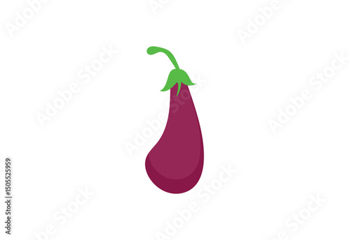 Colourful Vegetables Eggplant logo design, Vector design Template
