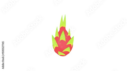 dragon fruit on white background. tropical fruit. fruit theme. cute fruit. agriculture. simple animation. motion graphics