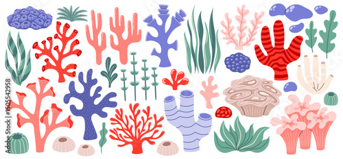 Coral and seaweed set. Ocean plants, underwater flora, sponges and seagrasses. Aquatic plant, algae, tropical coral-reef elements. Flat vector illustration isolated on white background