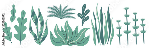 Seaweed set. Ocean plants, underwater flora, seagrasses. Aquatic plant, algae, tropical coral elements. Flat vector illustration isolated on white background