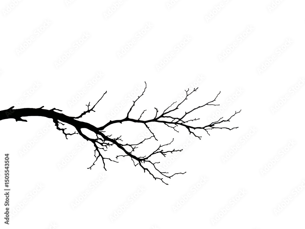 Fototapeta premium Black silhouette of a bare tree branch on white background, minimalist and artistic. Generative AI