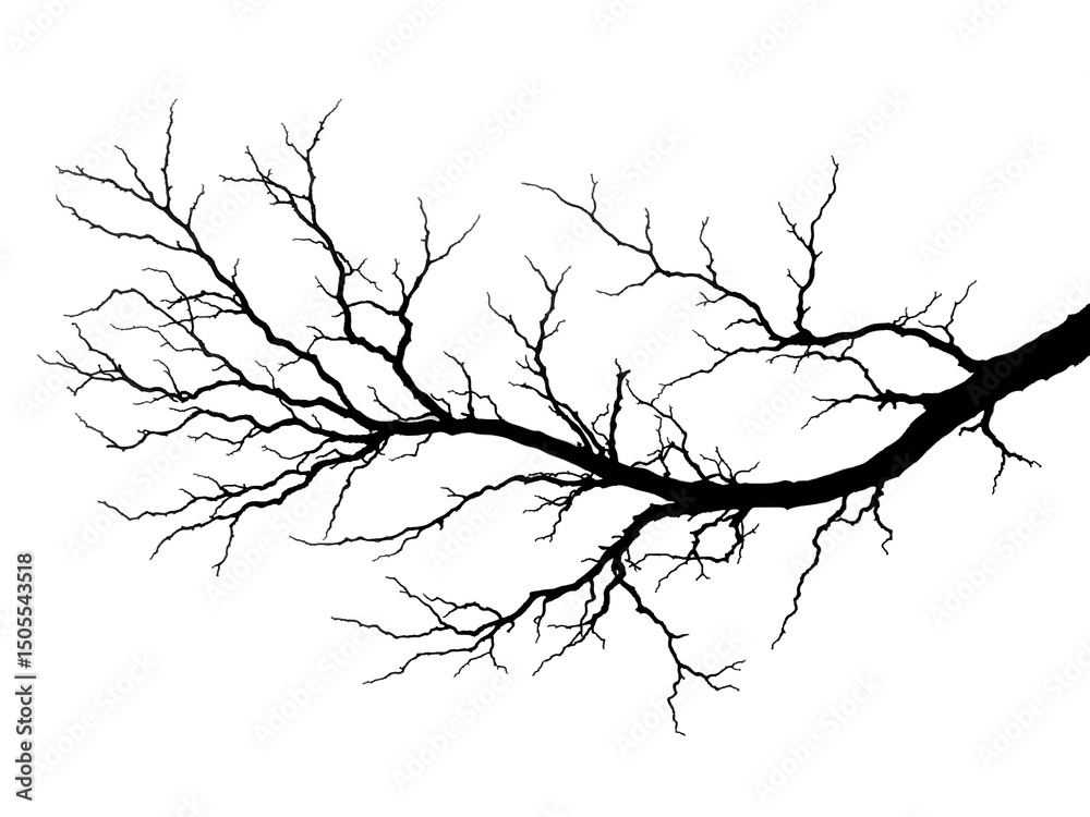 Fototapeta premium Black silhouette of a bare tree branch on white background, minimalist and artistic. Generative AI