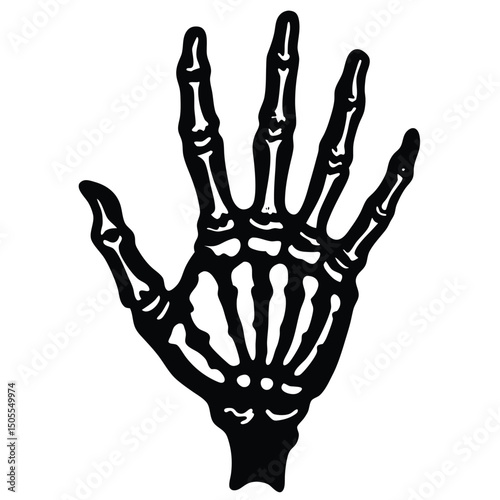 Anatomical Illustration Detailed Black and White Rendering of a Human Hand Skeleton Anatomy