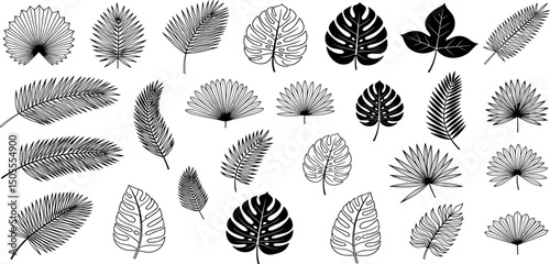 ropical leaves, palm leaves silhouettes, diverse collection, black shapes, design elements, artistic embellishments, leaf vector.