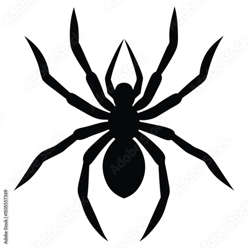 Bold Silhouette of EightLegged Spider with Detailed Legs and Body Shape on White