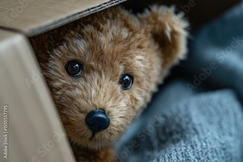 A close-up shot of a cute teddy bear peeking out from a cardboard box, evoking feelings of nostalgia, comfort, and children's innocence in a cozy environment.