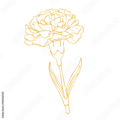 Elegant gold carnation flower outline vector illustration isolated on white background