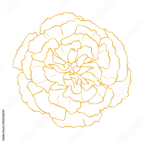 Elegant gold carnation flower outline vector illustration isolated on white background