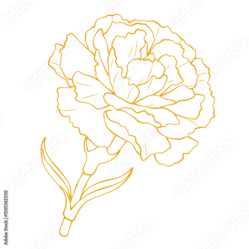 Elegant gold carnation flower outline vector illustration isolated on white background