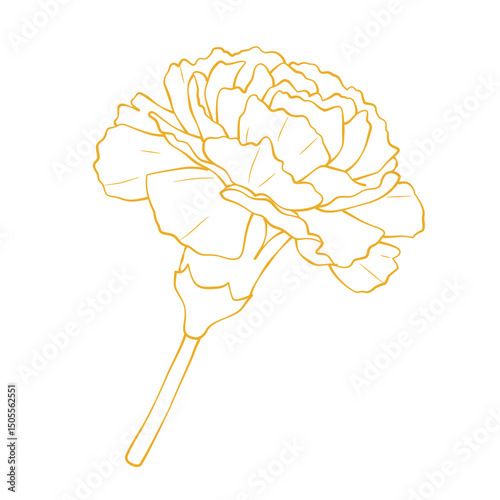 Elegant gold carnation flower outline vector illustration isolated on white background