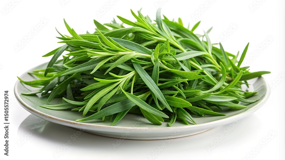 Freshly harvested tarragon herb sprigs artfully arranged on a ceramic plate Freshly harvested tarragon herb sprigs artfully arranged on a ceramic plate