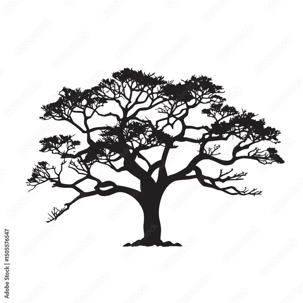 Obraz premium Hand Drawn Cotton Tree Silhouette