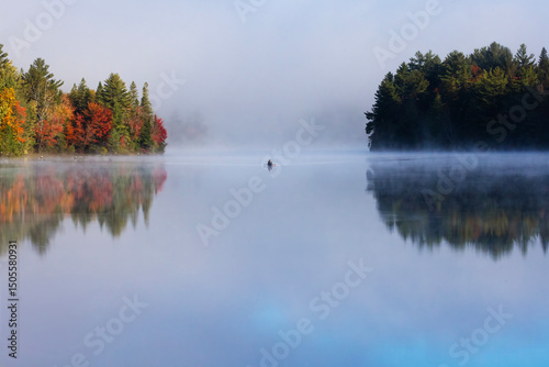 Tableau sur toile early foggy morning Joe Lake Algonquin park Ontario Canada