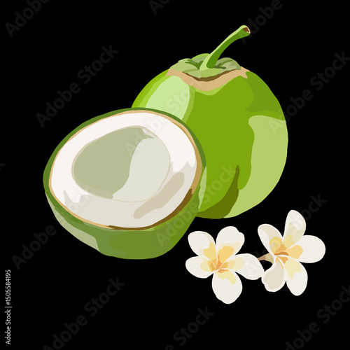 Isolated Fresh Young Coconuts and Frangipani Flowers on Black Background