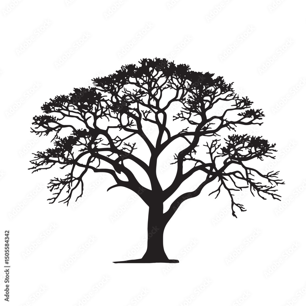 Obraz premium Cotton Tree Silhouette Vector