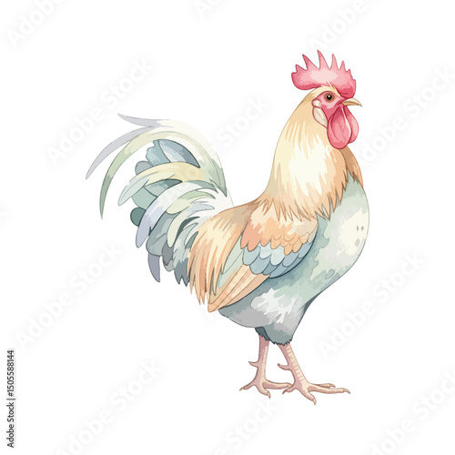 Hen-Chicken Isolated on Transparent Background – Watercolour Illustration