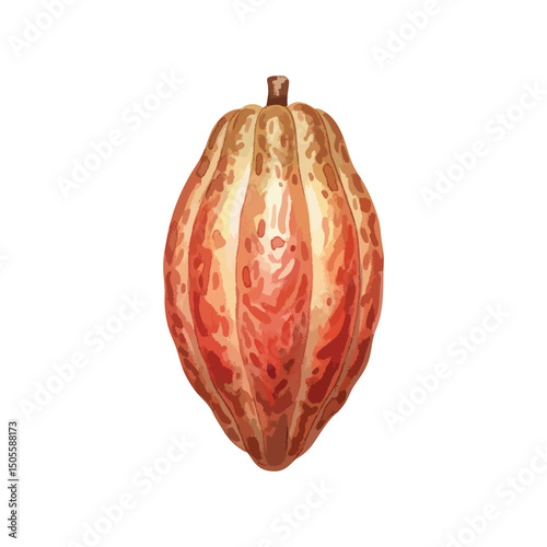 Coco Seed Isolated on Transparent Background – Watercolour Illustration
