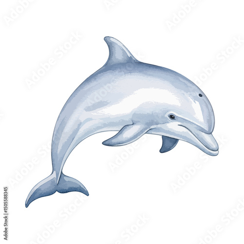 Dolphin Isolated on Transparent Background – Watercolour Illustration photo