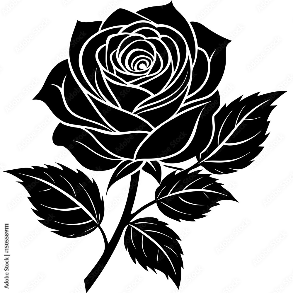 Rose silhouette with white background 