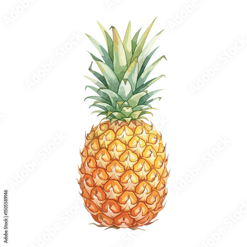 Fresh pineapple fruit Isolated on Transparent Background – Watercolour Illustration