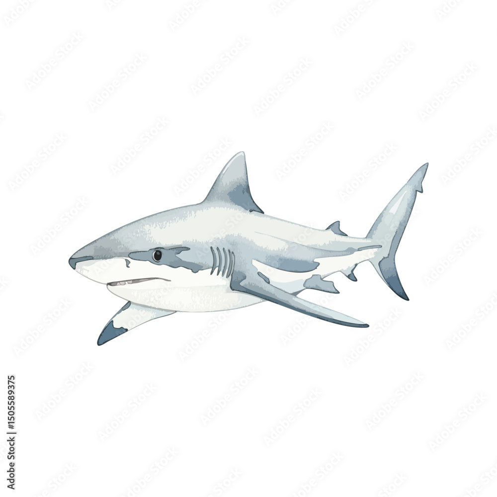 Obraz premium Shark Isolated on Transparent Background – Watercolour Illustration