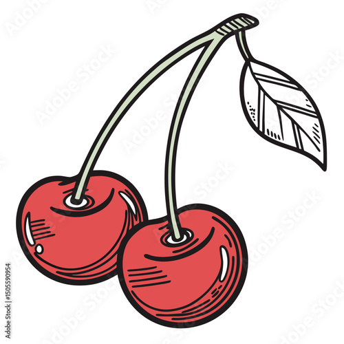 cherry on a white background