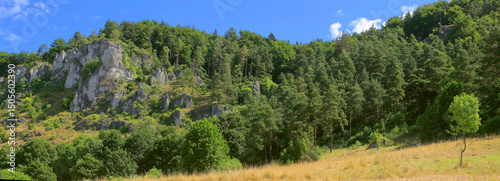 Waldlandschaft Naturpark Altmühltal, Bayern, Franken, Deutschland, Panorama 