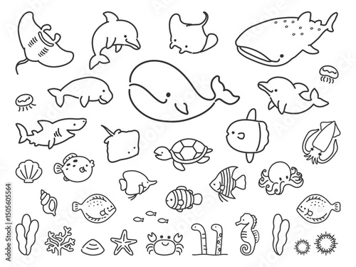 海の生き物