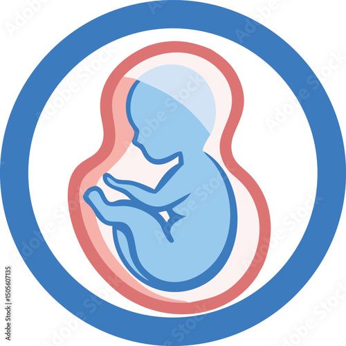 Fetus in Womb Illustration – Prenatal Development & Medical Concept
