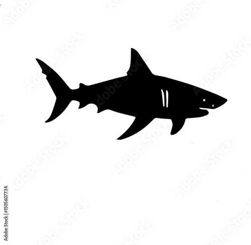 shark vector illustration