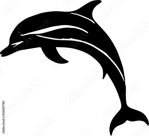 dolphin vector illustration